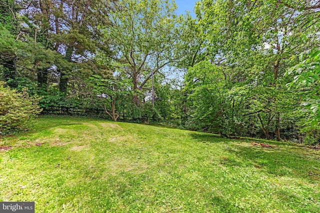 1417 Glendale Rd, Baltimore, MD 21239 - view of green lawn