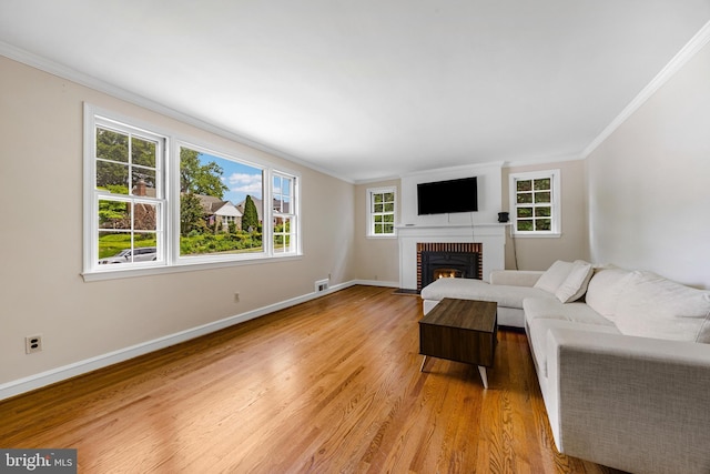 1417 Glendale Rd, Baltimore, MD 21239 - living room featuring crown molding, light wood-type flooring, healthy amount of natural light, a fireplace, and baseboards