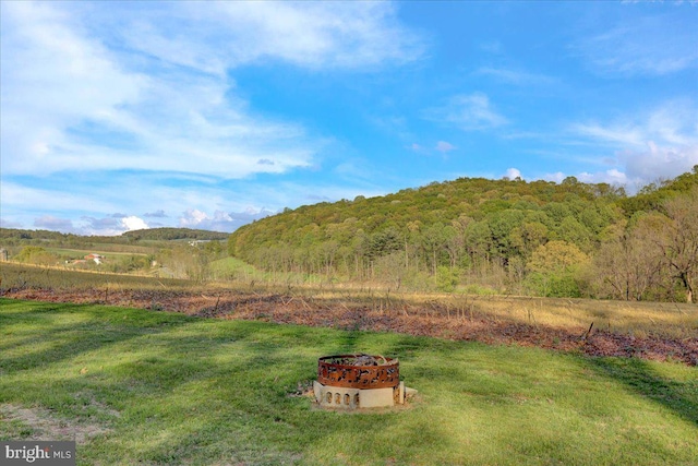 70 Miller Rd, Kutztown, PA 19530 - view of mountain feature with a view of trees