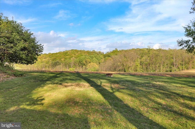 70 Miller Rd, Kutztown, PA 19530 - view of nature with a view of trees