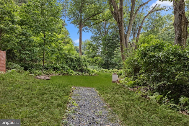 918 Andorra Rd, Lafayette Hill, PA 19444 - view of yard