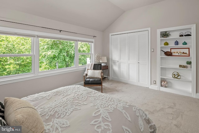 3175 21st St N, Arlington, VA 22201 - bedroom with carpet flooring, a closet, vaulted ceiling, and baseboards