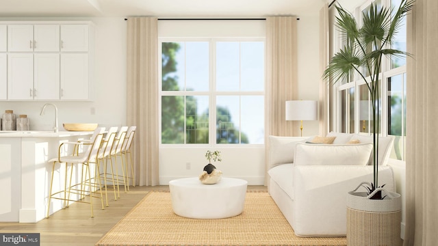 living area featuring a wealth of natural light and light wood-style floors