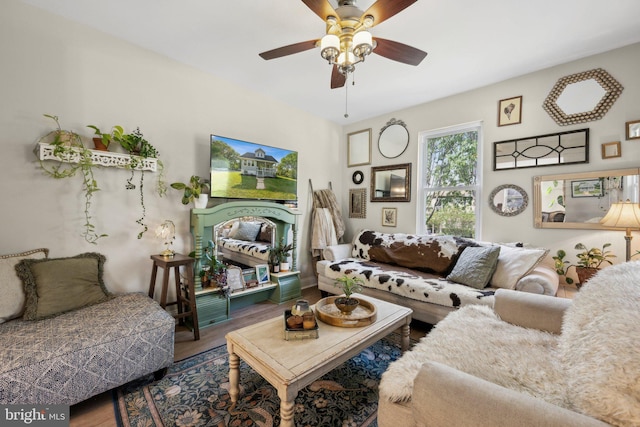 living area with a ceiling fan and wood finished floors