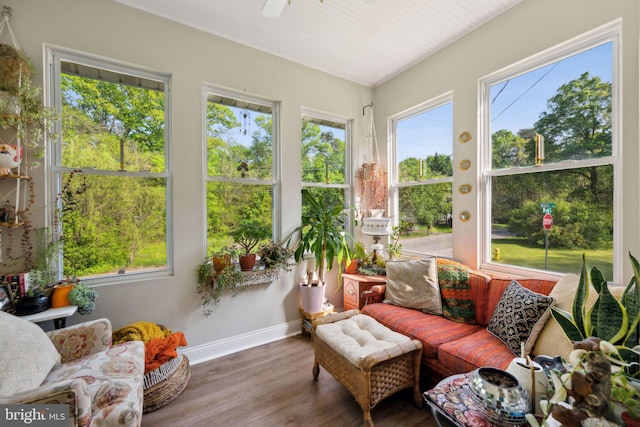sunroom / solarium with baseboards, a wealth of natural light, and wood finished floors