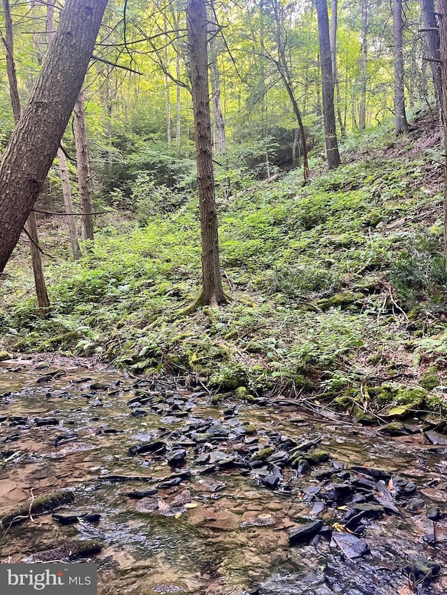 6 Beech Creek Mountain Rd, Beech Creek, PA 16822