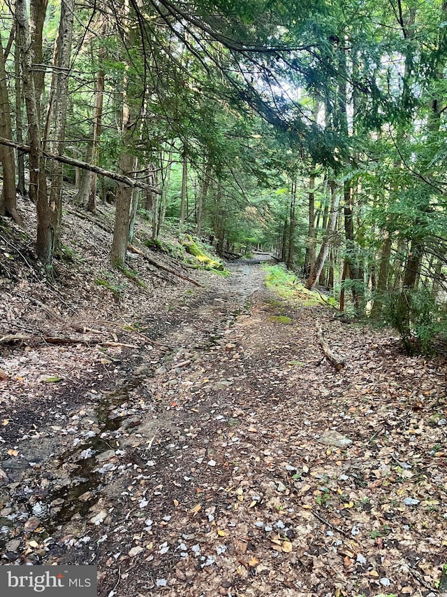 6 Beech Creek Mountain Rd, Beech Creek, PA 16822