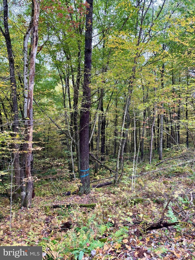 6 Beech Creek Mountain Rd, Beech Creek, PA 16822
