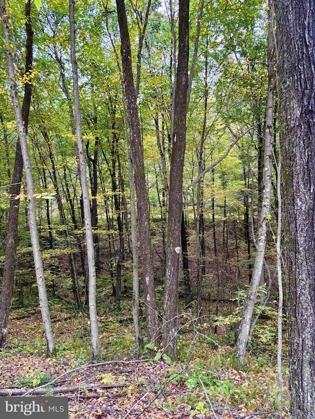 6 Beech Creek Mountain Rd, Beech Creek, PA 16822