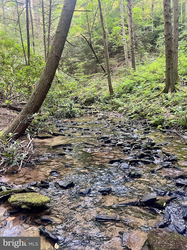 6 Beech Creek Mountain Rd, Beech Creek, PA 16822