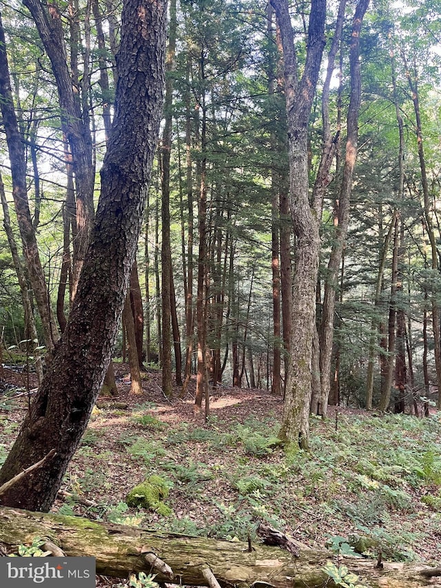 6 Beech Creek Mountain Rd, Beech Creek, PA 16822