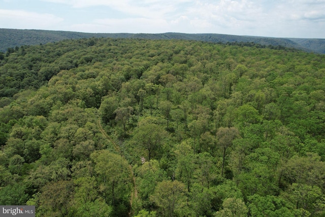 6 Beech Creek Mountain Rd, Beech Creek, PA 16822