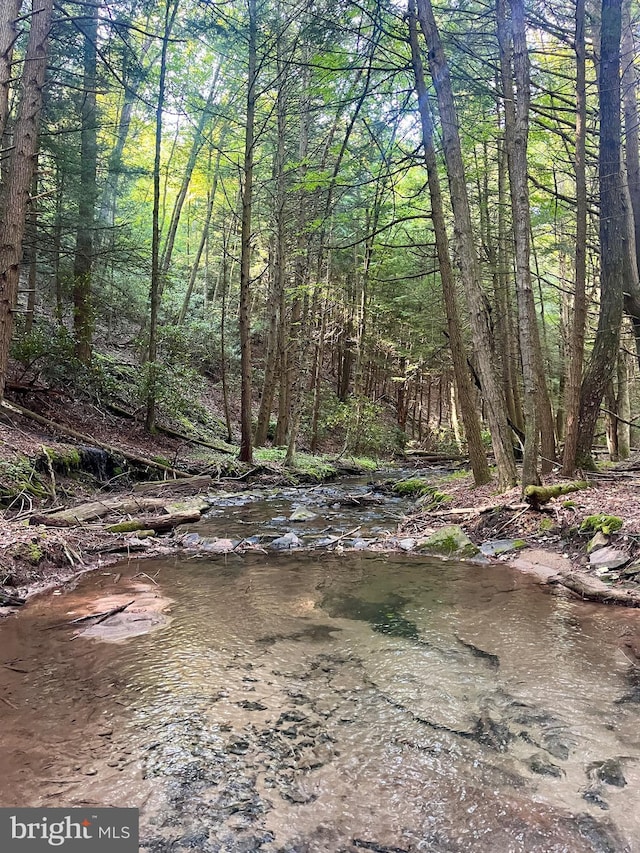 6 Beech Creek Mountain Rd, Beech Creek, PA 16822