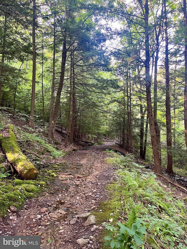 6 Beech Creek Mountain Rd, Beech Creek, PA 16822