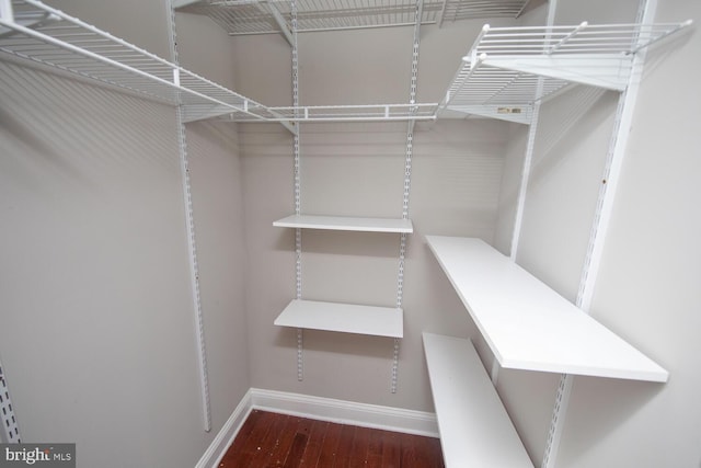 walk in closet featuring wood finished floors