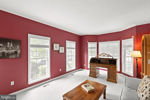 100 Lucy Long Ct, Stephens City, VA 22655 - living area with carpet floors and crown molding