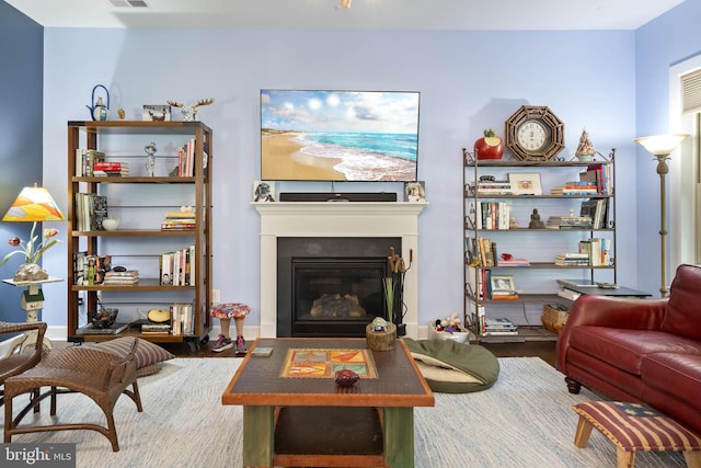 23593 Robalo Rd, Frankford, DE 19945 - living room with a glass covered fireplace and wood finished floors