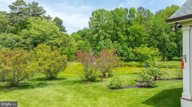 23593 Robalo Rd, Frankford, DE 19945 - view of grassy yard