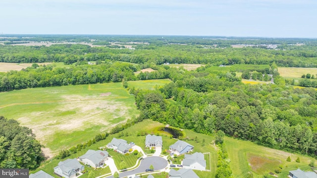 23593 Robalo Rd, Frankford, DE 19945 - drone / aerial view