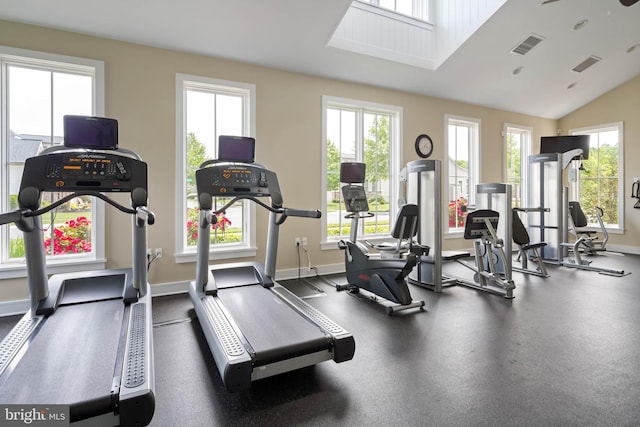 23593 Robalo Rd, Frankford, DE 19945 - workout area featuring baseboards and lofted ceiling