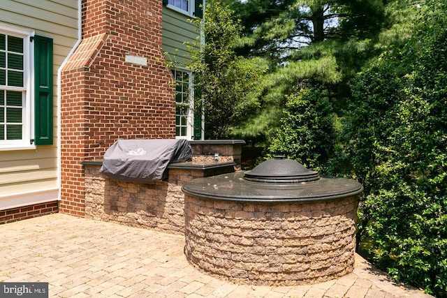 view of patio / terrace with area for grilling and grilling area