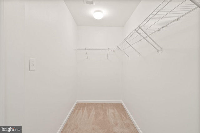 spacious closet with carpet