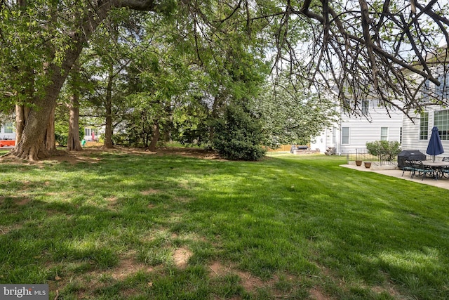 view of yard featuring a patio