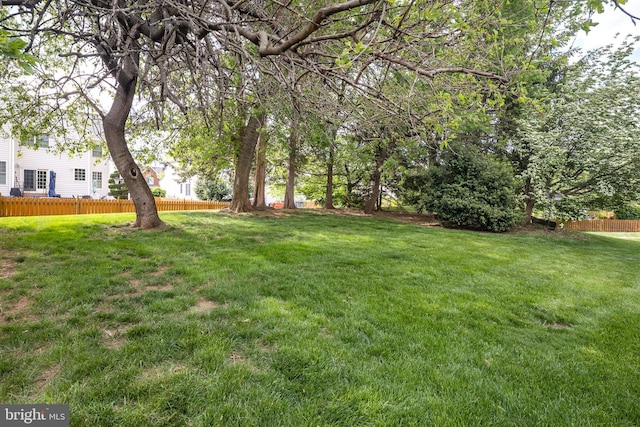 view of yard featuring fence