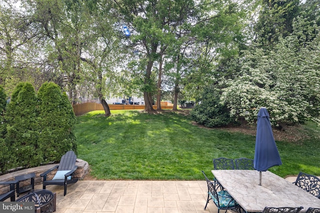 view of yard with a patio area
