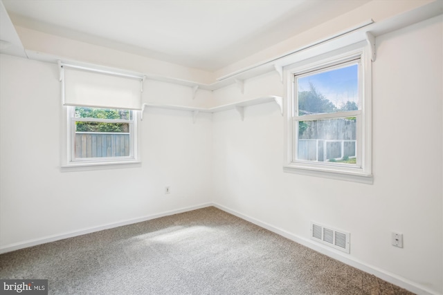 walk in closet with carpet