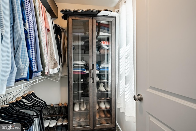 view of spacious closet