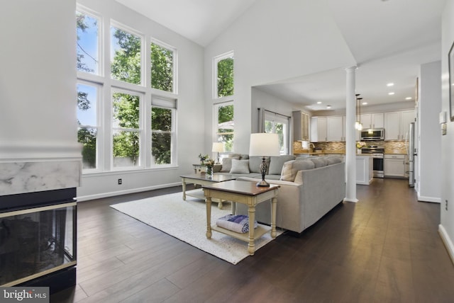 43253 Katie Leigh Ct, Ashburn, VA 20147 - living area with healthy amount of natural light, decorative columns, dark wood finished floors, high vaulted ceiling, and baseboards