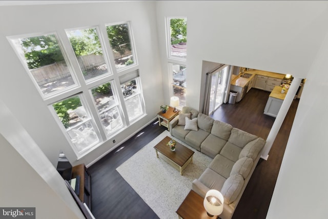 43253 Katie Leigh Ct, Ashburn, VA 20147 - living room with a high ceiling and dark wood-type flooring