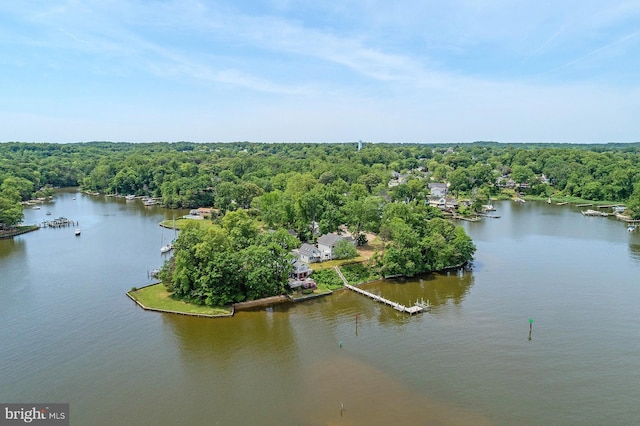 424 Alameda Pkwy, Arnold, MD 21012 - aerial view of a forest and a nearby body of water