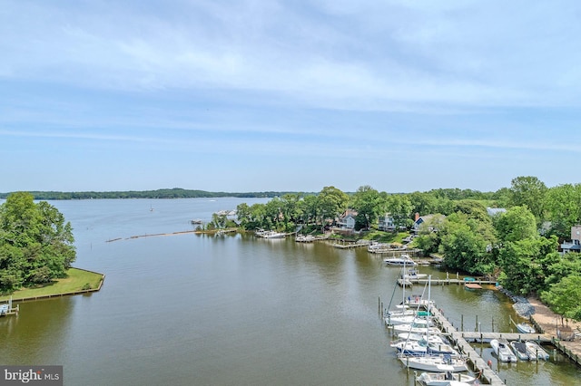 424 Alameda Pkwy, Arnold, MD 21012 - water view with a boat dock