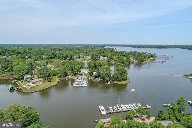 424 Alameda Pkwy, Arnold, MD 21012 - drone / aerial view of a large body of water