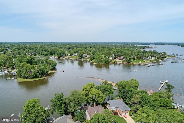424 Alameda Pkwy, Arnold, MD 21012 - drone / aerial view of a large body of water and a forest