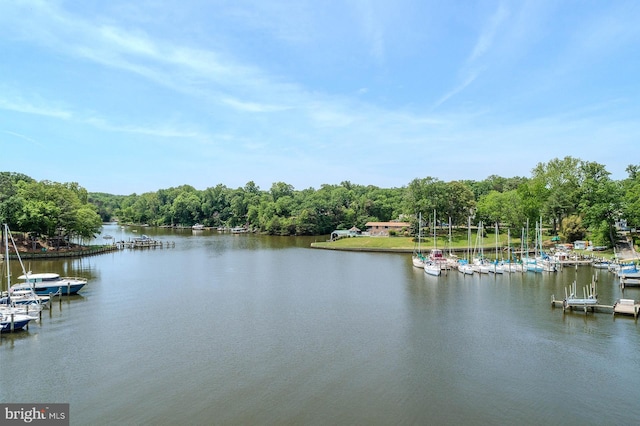 424 Alameda Pkwy, Arnold, MD 21012 - water view with a dock