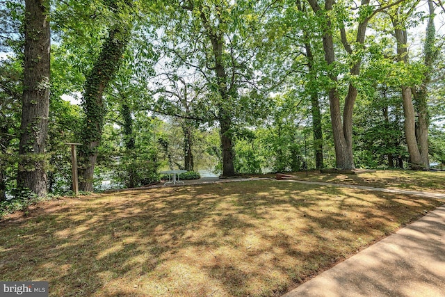 424 Alameda Pkwy, Arnold, MD 21012 - view of yard