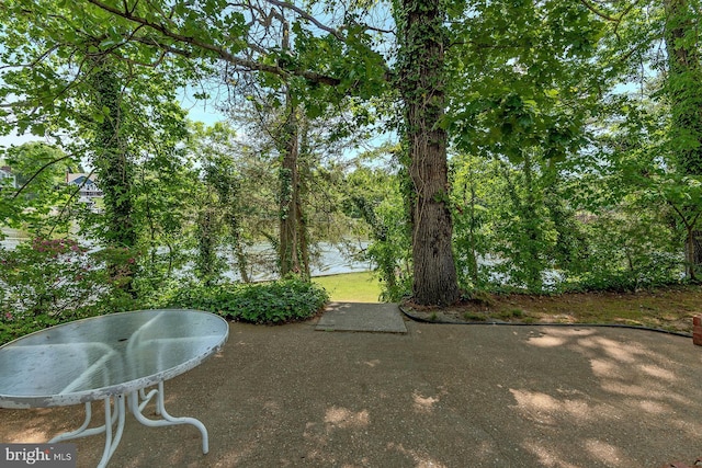 424 Alameda Pkwy, Arnold, MD 21012 - view of yard