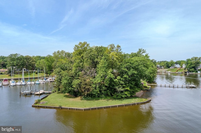 424 Alameda Pkwy, Arnold, MD 21012 - water view with a boat dock and a tree filled landscape