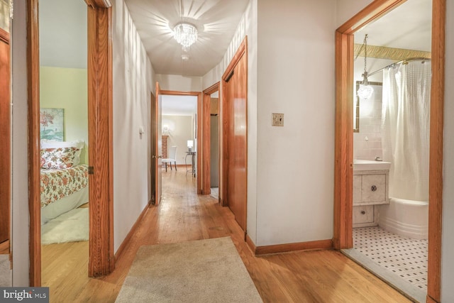 7423 Phelps Rd, Hanover, MD 21076 - hallway with light wood-type flooring and baseboards