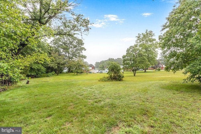7423 Phelps Rd, Hanover, MD 21076 - view of grassy yard