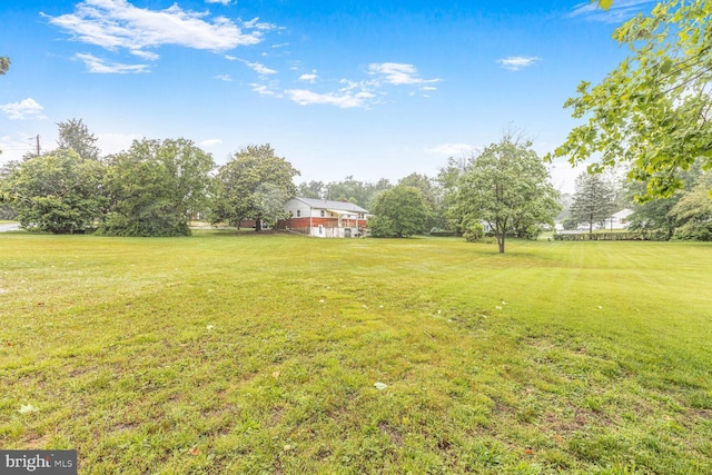 7423 Phelps Rd, Hanover, MD 21076 - view of green lawn