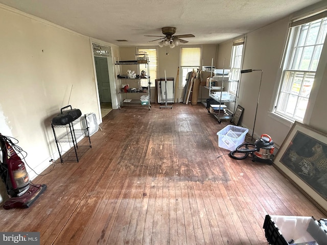 living room with a wealth of natural light, dark wood finished floors, and a ceiling fan