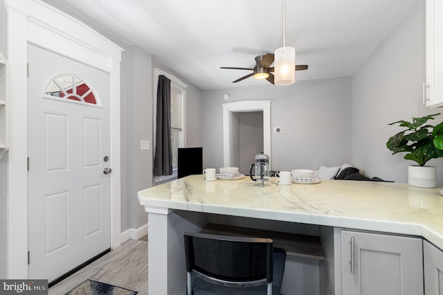 442 Poplar St, Lancaster, PA 17603 - kitchen with a peninsula, light wood finished floors, a ceiling fan, and plenty of natural light