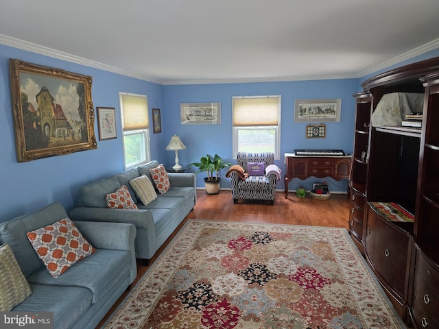 living room featuring ornamental molding and wood finished floors