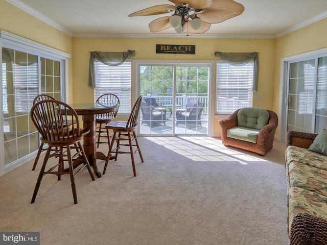 carpeted dining room featuring ornamental molding and a ceiling fan
