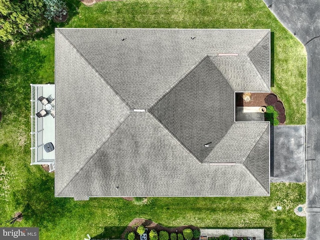 bird's eye view