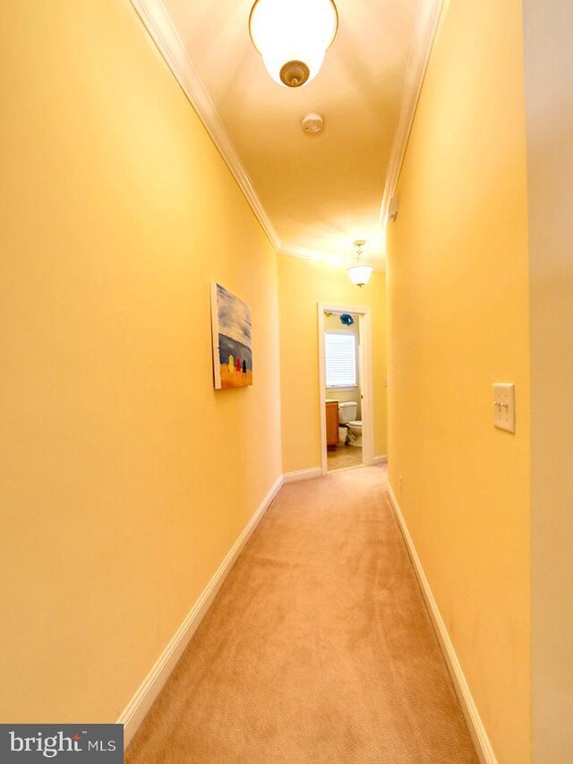 hallway with baseboards, light carpet, and ornamental molding